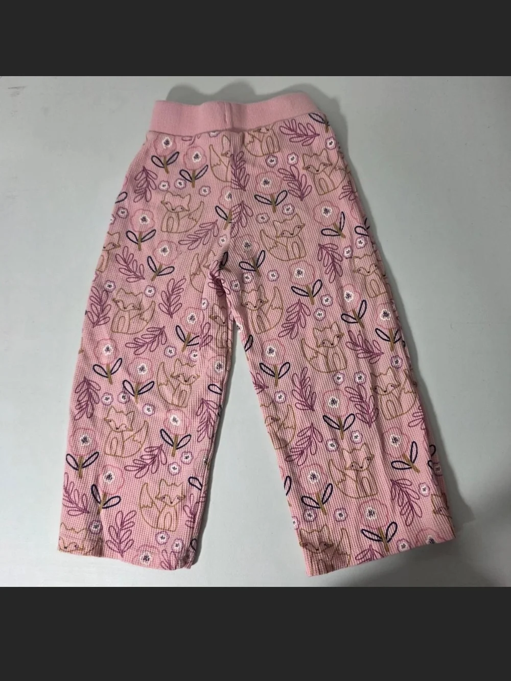 Garanimals Pink Fox & Floral Two-Piece Set